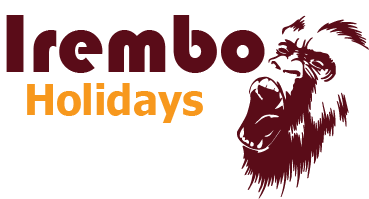 Irembo Holidays Safaris