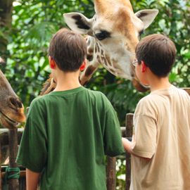 Irembo Holidays Safaris
