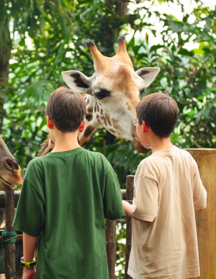 Irembo Holidays Safaris