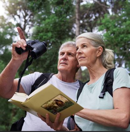 Irembo Holidays Safaris