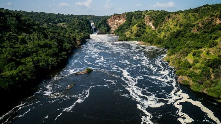 Irembo Holidays Safaris